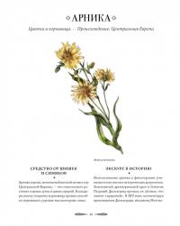 Атлас естественной красоты. Натуральные ингредиенты для ухода за кожей и приумножения вашей красоты — Віктуар де Тайак, Рамдан Туамі #8