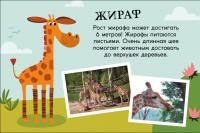 Зоопарк. Поезд знаний — Анне Софи Стернберг #6