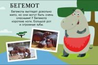 Зоопарк. Поезд знаний — Анне Софи Стернберг #9