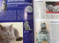 Кошки. Лучший иллюстрированный гид — Николай Николаевич Непомнящий #2