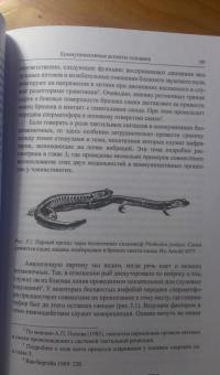 Эволюция диалога. Коммуникация в развитии: от микроорганизмов до человека (+CD) — Евгений Николаевич Панов #9