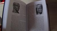 Политическая история Римской империи. Том 2 — Юлий Беркович Циркин #6