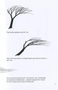 Рисуем дерево — Бруно Мунари #12