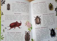 Наши насекомые. Определитель для детей — Владимир Анатольевич Полевод #8