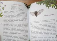 Наши насекомые. Определитель для детей — Владимир Анатольевич Полевод #9