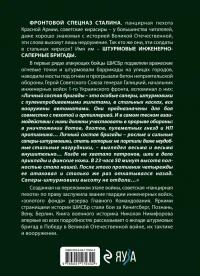 Штурмовые бригады Красной Армии. Фронтовой спецназ Сталина — Николай Иванович Никифоров #2