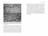 Алхимия. Тайное искусство и тонкая наука магии в брендах, бизнесе и жизни — Рори Сазерленд #6