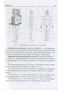 Анатомия опорно-двигательного аппарата — Петр Пивченко, Наталья Трушель #15