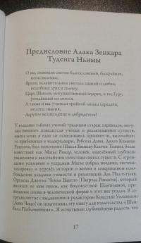 Просветлённый бродяга. Жизнь и учения Патрула Ринпоче — Матье Рикар #6