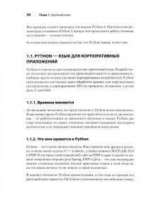 Секреты Python Pro — Дейн Хиллард #1
