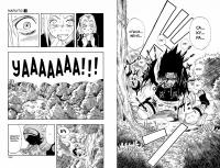 Naruto. Наруто. Книга 1. Наруто Удзумаки — Масаси  Кисимото #3
