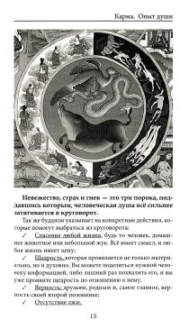 Карма. Опыт души — Анна Ясная #8
