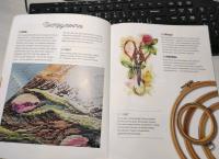 Вышиваем цветочные сюжеты. 18 схем для вышивки крестом — Анна Петунова #7