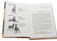 Зграя. Книга 1. Спорожніле місто — Эрин Хантер #4