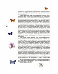 Бабочки. Основы систематики, среда обитания, жизненный цикл и магия совершенства — Йоганн Брандштеттер, Ельке Ціппель #13