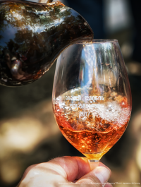 Amber Revolution. Як світ закохався в оранжеве вино — Саймон Вулф, Раян Опаз #18