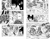 Naruto. Наруто. Книга 3. Верный путь — Масаси  Кисимото #4