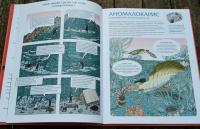 Животные затерянного мира — Дамьен Лавердан, Элен Ражак #6