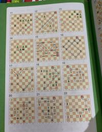 Шахматы: арифметические и логические задачи — Леонид Григорьевич Битно #3