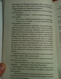 На войне как на войне. Железный дождь — Виктор Александрович Курочкин #5