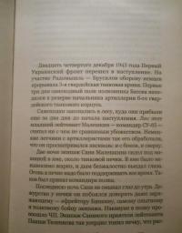 На войне как на войне. Железный дождь — Виктор Александрович Курочкин #10