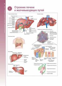 Наглядная гепатология. Учебное пособие — Дипак Джоши, Элисон Бринд, Джери Кин #3