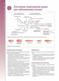 Наглядная гепатология. Учебное пособие — Дипак Джоши, Элисон Бринд, Джери Кин #9