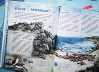 Море. И море фактов о нём — Михаил Михайлович Нагайлик #8