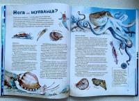Море. И море фактов о нём — Михаил Михайлович Нагайлик #10