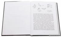 Книга Лямзики, или Тайна пропащих носков — Лина Жутауте #4