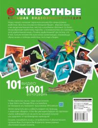 Животные. 101 видео и 1001 фотография #1
