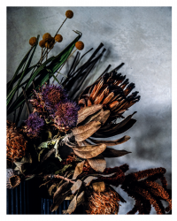 Книга Дикі інтер’єри. Красиві рослини в чудових просторах — Хилтон Картер #20
