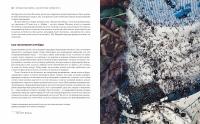 Приключения среди муравьев. Путешествие по земному шару с триллионами суперорганизмов — Марк Моффетт #13