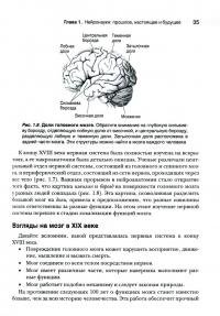 Нейронауки. Исследование мозга. В 3-х томах. Том 1. Основы — Марк Ф. Беар, Майкл А. Парадизо, Барри В. Коннорс #3