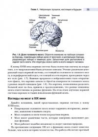 Нейронауки. Исследование мозга. В 3-х томах. Том 1. Основы — Марк Ф. Беар, Майкл А. Парадизо, Барри В. Коннорс #4