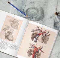Анатомика. От ужасного до великого. Человеческое тело в искусстве — Джоанна Эбенштейн #4