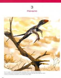 Птерозавры — Марк П. Уиттон #1