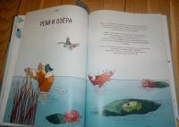 Планета Земля. Мир вокруг нас в инфографике — Кьяра Пиродди #7