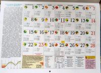 Календарь Большой астрологический на 2021 год — Александр Викторович Зараев #3