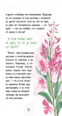 Лето на память. Моя первая коллекция растений — Ольга Азгальдова #5