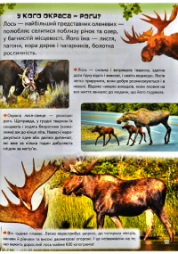 Книга Дивовижна енциклопедія про тварин у запитаннях і відповідях — Владимир Верховень #20