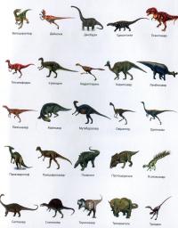 Книга Динозаври. 50 найвідоміших видів: міні-енциклопедія #12