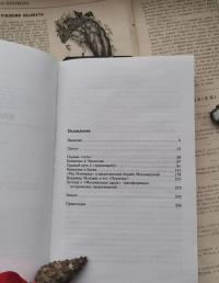 Владимир Мономах. Между историей и легендой — Дмитрий Александрович Боровков #7