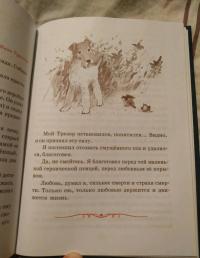 Детям о главном — Иван Сергеевич Шмелев, Евгений Андреевич Пермяк, Михаил Михайлович Зощенко #10