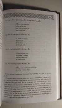 Сказание о мече Тюрфинге. Сага о потомках Аригрима — Вадим Евгеньевич Сеничев #9