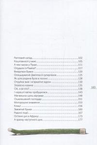 Книга Шкарпеткожери повертаються. Книга 2 — Павел Шрут #7