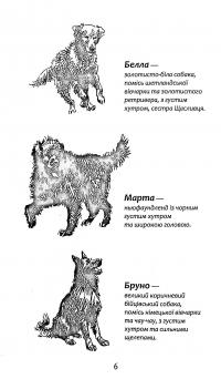 Книга Зграя. Книга 3. Пітьма насуває — Эрин Хантер #5