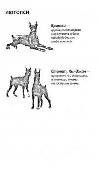 Книга Зграя. Книга 3. Пітьма насуває — Эрин Хантер #7