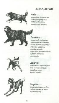 Книга Зграя. Книга 2. Прихований ворог — Эрин Хантер #9