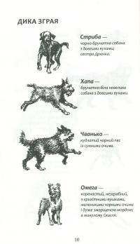 Книга Зграя. Книга 2. Прихований ворог — Эрин Хантер #10